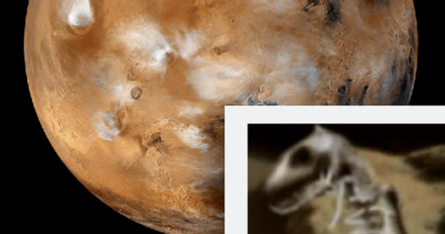 ¡Olvídate de la búsqueda de agua en Marte! Se ha descubierto un dinosaurio fosilizado